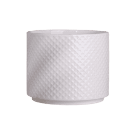 Ceramica pl 021 1 - Plantas Faitful